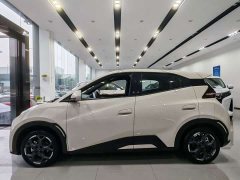 BYD Seagull Glory Edition 405km Flying Edition - ფოტო 4