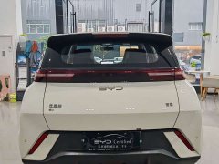 BYD Seagull Glory Edition 405km Flying Edition - ფოტო 7