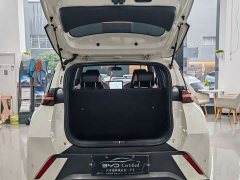 BYD Seagull Glory Edition 405km Flying Edition - ფოტო 9