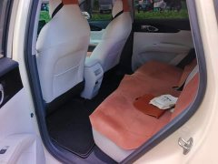Geely Xing Yuan 2025 310km Dream Edition - ფოტო 11
