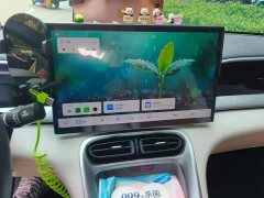 Geely Xing Yuan 2025 310km Dream Edition - ფოტო 13
