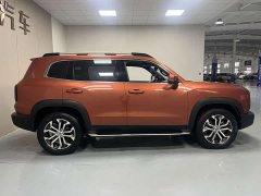 Great Wall Dachshund 1.5T DCT Two-Wheel Drive Malinois Edition - ფოტო 11