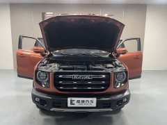 Great Wall Dachshund 1.5T DCT Two-Wheel Drive Malinois Edition - ფოტო 16