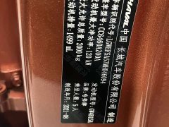 Great Wall Dachshund 1.5T DCT Two-Wheel Drive Malinois Edition - ფოტო 19