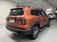 Great Wall Dachshund 1.5T DCT Two-Wheel Drive Malinois Edition - ფოტო 4