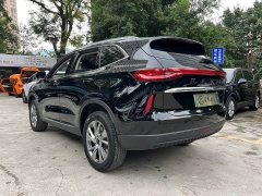 Haval H6 New Energy DHT-PHEV 110KM Comfort Edition - ფოტო 19