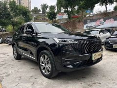 Haval H6 New Energy DHT-PHEV 110KM Comfort Edition - ფოტო 3