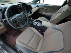 Lexus ES 300h Premium Edition - ფოტო 11