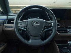 Lexus ES 300h Premium Edition - ფოტო 17