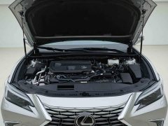 Lexus ES 300h Premium Edition - ფოტო 6