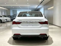 Geely Binrui 2020 1.4T CVT Luxury - ფოტო 8