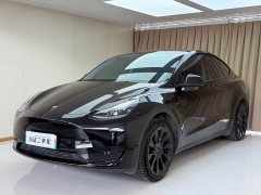 Tesla Model Y Rear-Wheel Drive - ფოტო 1