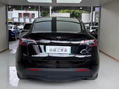 Tesla Model Y Rear-Wheel Drive - ფოტო 12