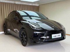 Tesla Model Y Rear-Wheel Drive - ფოტო 16