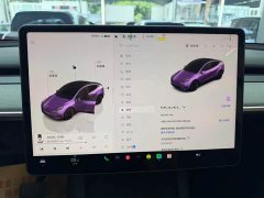 Tesla Model Y Rear-Wheel Drive - ფოტო 4