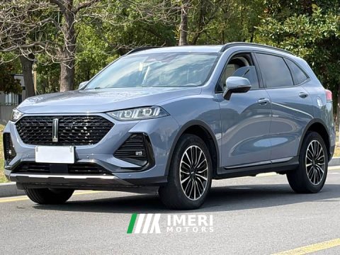 2023 Great Wall DHT 1.5T DHT - ავტომობილი ჩინეთიდან