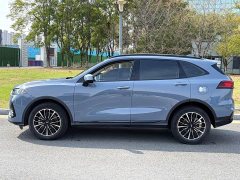 Great Wall DHT 1.5T DHT - ფოტო 7