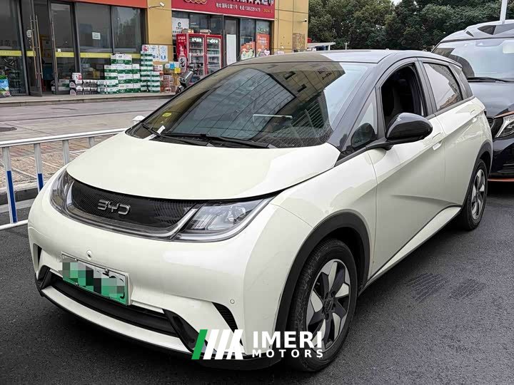 BYD Dolphin Glory Edition 420km Fashion Version - ავტომობილი ჩინეთიდან