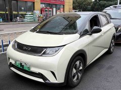 BYD Dolphin Glory Edition 420km Fashion Version - ფოტო 1