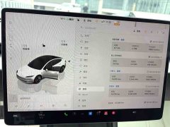 Tesla Model 3 Long Range All-Wheel Drive - ფოტო 10