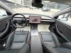 Tesla Model 3 Long Range All-Wheel Drive - ფოტო 6