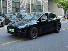 Tesla Model Y Long Range All-Wheel Drive - ფოტო 1