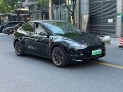 Tesla Model Y Long Range All-Wheel Drive - ფოტო 3