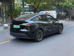 Tesla Model Y Long Range All-Wheel Drive - ფოტო 7