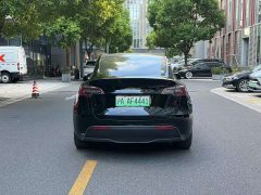Tesla Model Y Long Range All-Wheel Drive - ფოტო 8