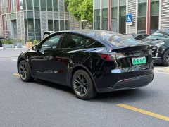 Tesla Model Y Long Range All-Wheel Drive - ფოტო 9