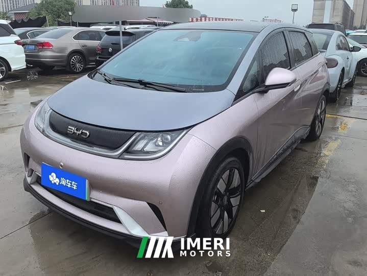 BYD Dolphin 2025 520km Knight Edition - ავტომობილი ჩინეთიდან