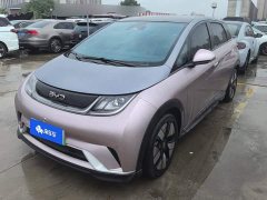 BYD Dolphin 2025 520km Knight Edition - ფოტო 1