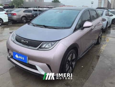 2024 BYD Dolphin 520km Knight Edition