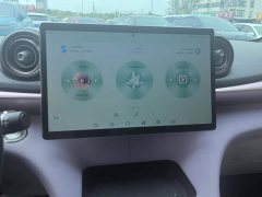 BYD Dolphin 2025 520km Knight Edition - ფოტო 13