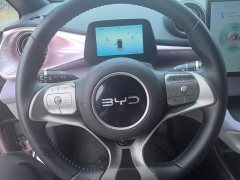BYD Dolphin 2025 520km Knight Edition - ფოტო 15