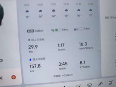 Li Auto L9 2022 Max - ფოტო 7