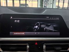 BMW 3 Series 320Li M Sport Package - ფოტო 9