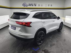 Haval H6 1.5T Two-Wheel Drive Max - ფოტო 3