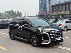 Denza BYD Denza D9 2022 DM-i 970 AWD Premium Edition - ფოტო 3