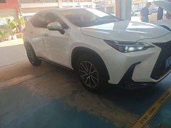 Lexus NX 260 FWD Joyful Edition - ფოტო 1