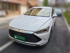 BYD Qin Plus 2021 DM-i 55KM Flagship - ფოტო 1