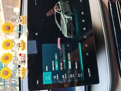 BYD Qin Plus 2021 DM-i 55KM Flagship - ფოტო 20
