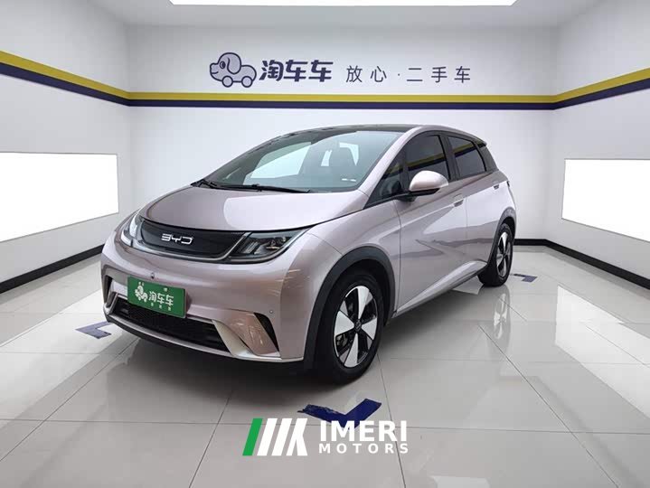 BYD Dolphin 420km Fashion Edition - ავტომობილი ჩინეთიდან