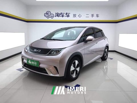 2023 BYD Dolphin 420km Fashion Edition - ავტომობილი ჩინეთიდან