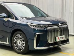 Voyah Lantu Dreamchaser 2025 PHEV AWD Luxury Kunpeng Edition - ფოტო 6