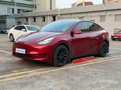 Tesla Model Y Rear-Wheel Drive - ფოტო 1