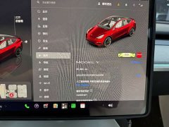 Tesla Model Y Rear-Wheel Drive - ფოტო 5