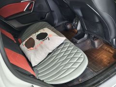 BMW X1 xDrive25Li X Design Package - ფოტო 5