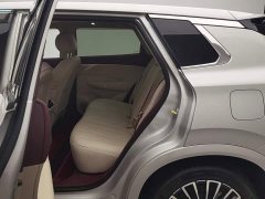 Dongfeng Fengshen L8 185KM Dream Edition - ფოტო 15