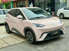 BYD Seagull 2025 305km Freedom Edition - ფოტო 2